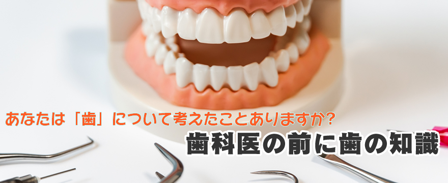 あなたは「歯」について考えたことありますか？歯科医の前に歯の知識
